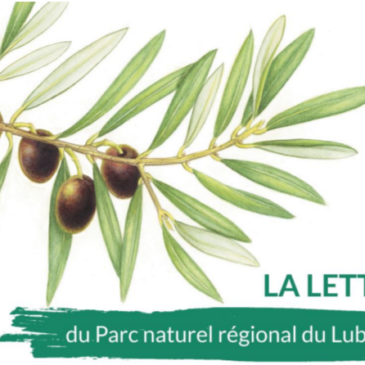 Lalettre du Parc – Décembre 2021