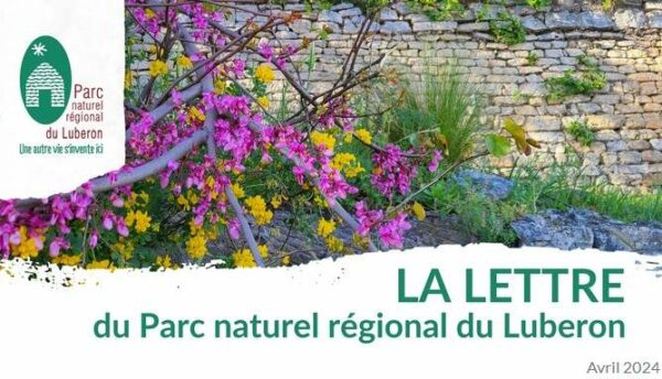 La lettre du Parc – Avril 2024