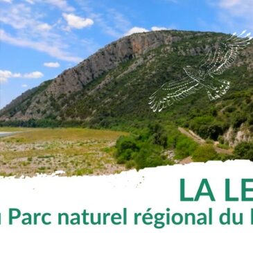 La lettre du Parc – Août 2024