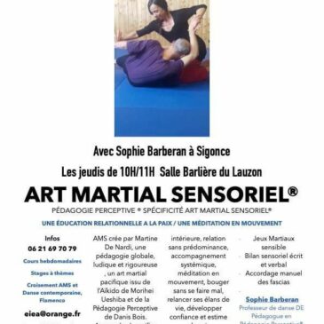Art martial sensoriel