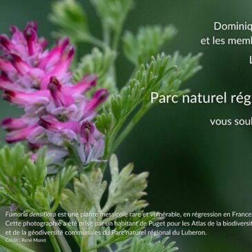 La lettre du Parc Janvier 2025