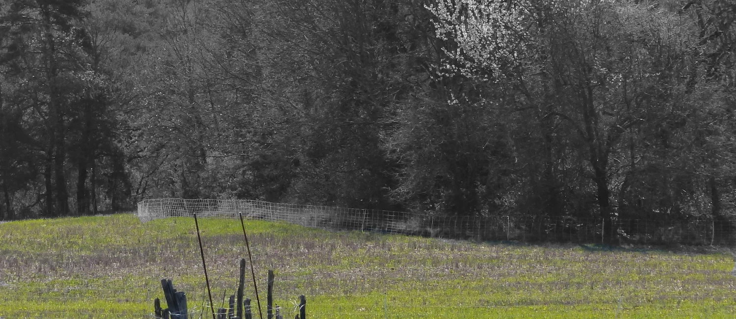 Vue Rando 7 WEB